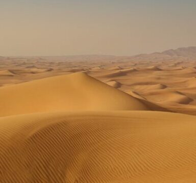 Life Abroad, One Story at a Time